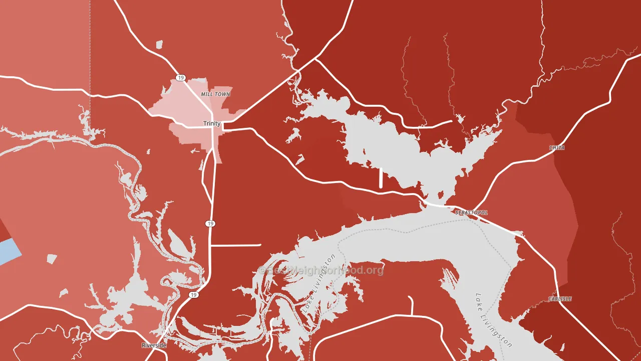 Trinity, TX block-group political-lean map