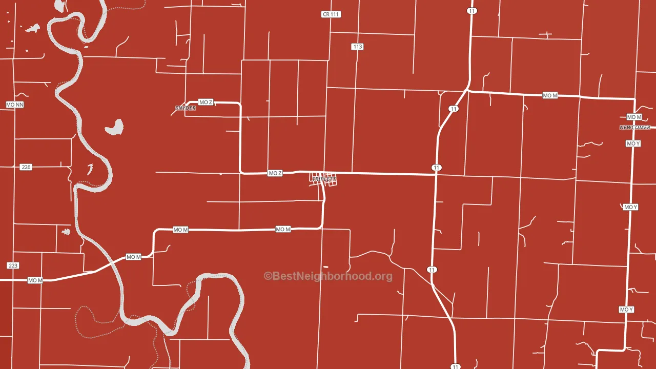 Triplett, MO block-group political-lean map