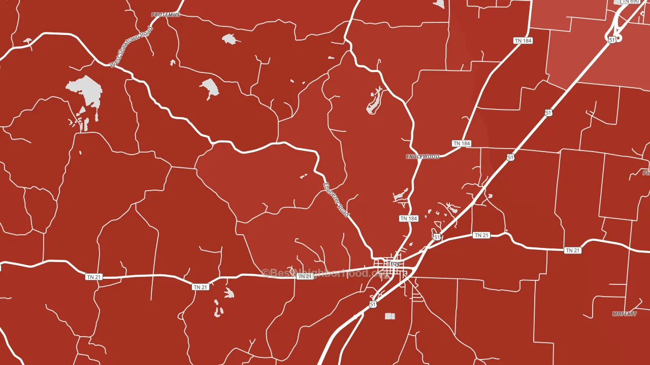 Troy, TN block-group political-lean map