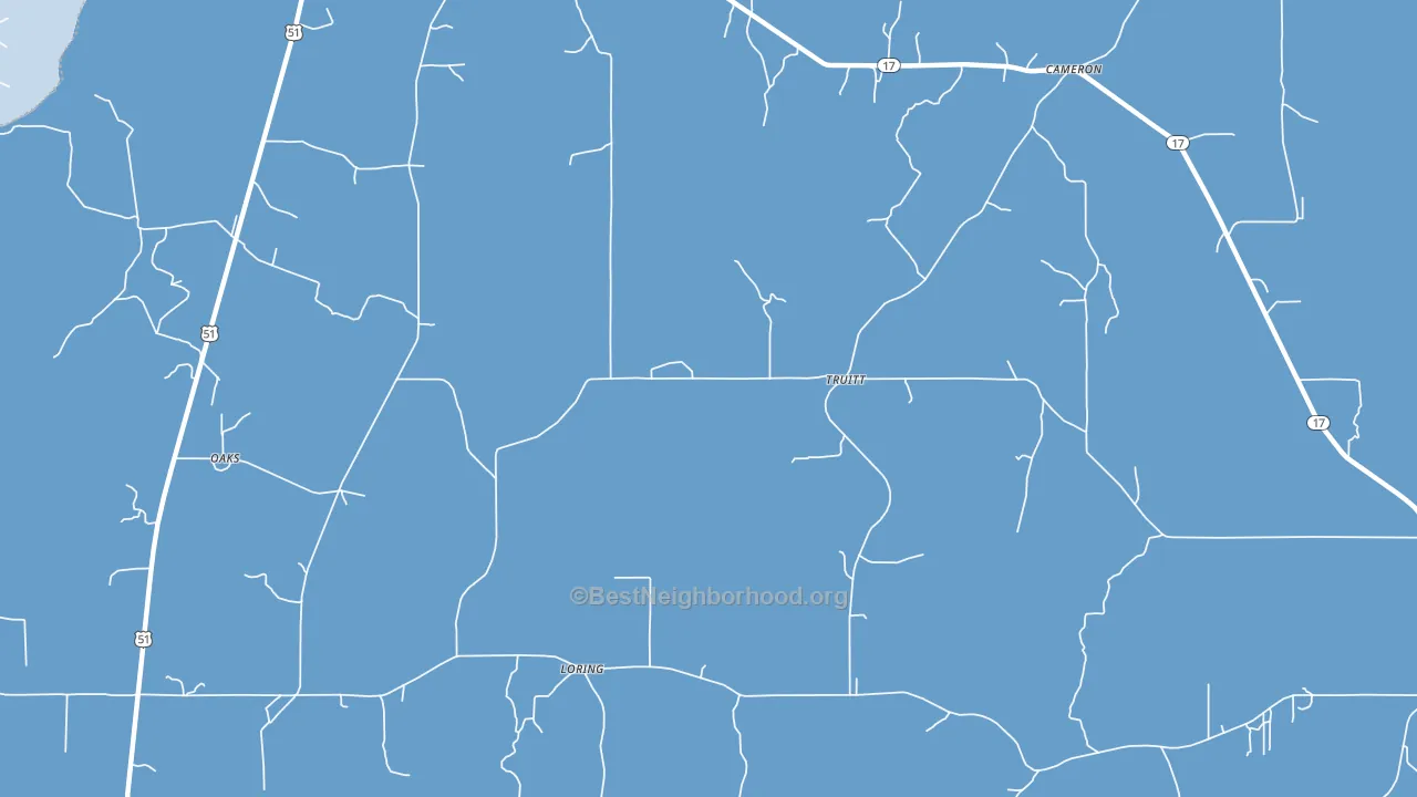 Truitt, MS block-group political-lean map