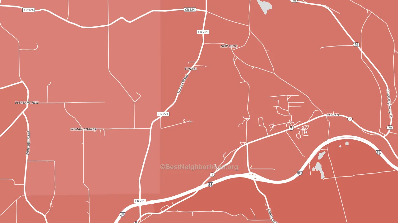 Tunnel, NY block-group political-lean map