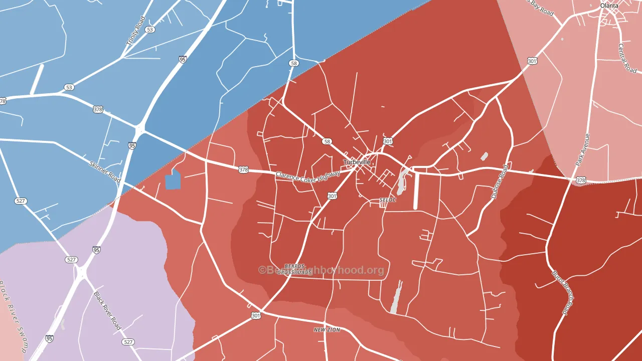 Turbeville, SC block-group political-lean map