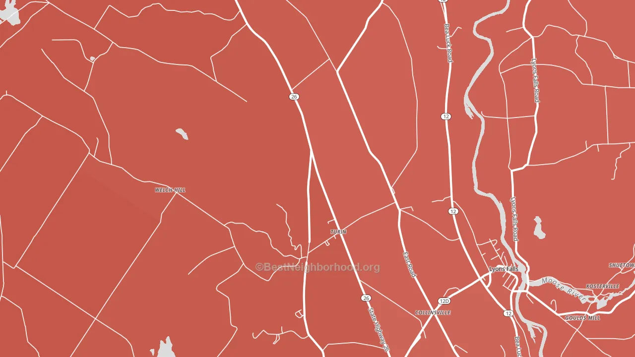 Turin, NY block-group political-lean map