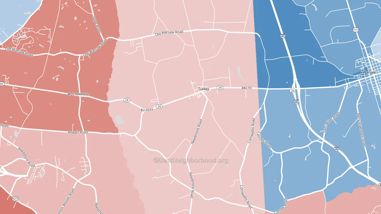 Turkey, NC block-group political-lean map