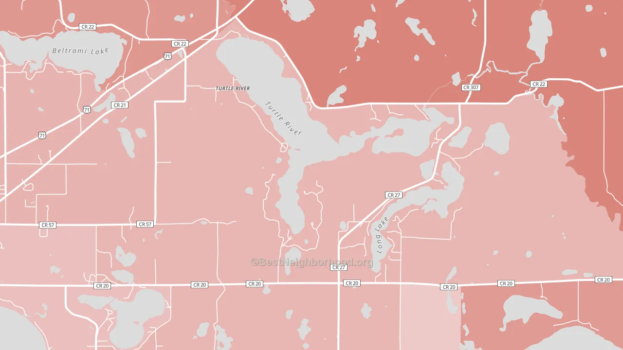 Turtle River, MN block-group political-lean map