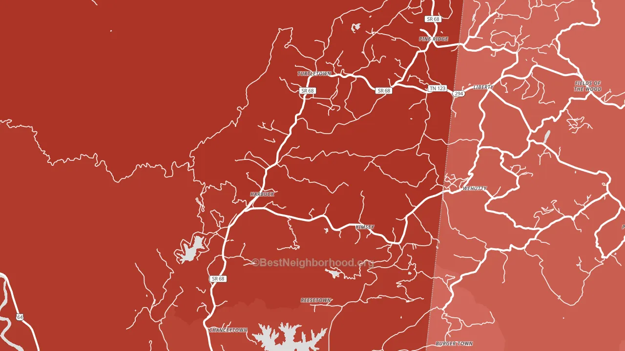 Turtletown, TN block-group political-lean map
