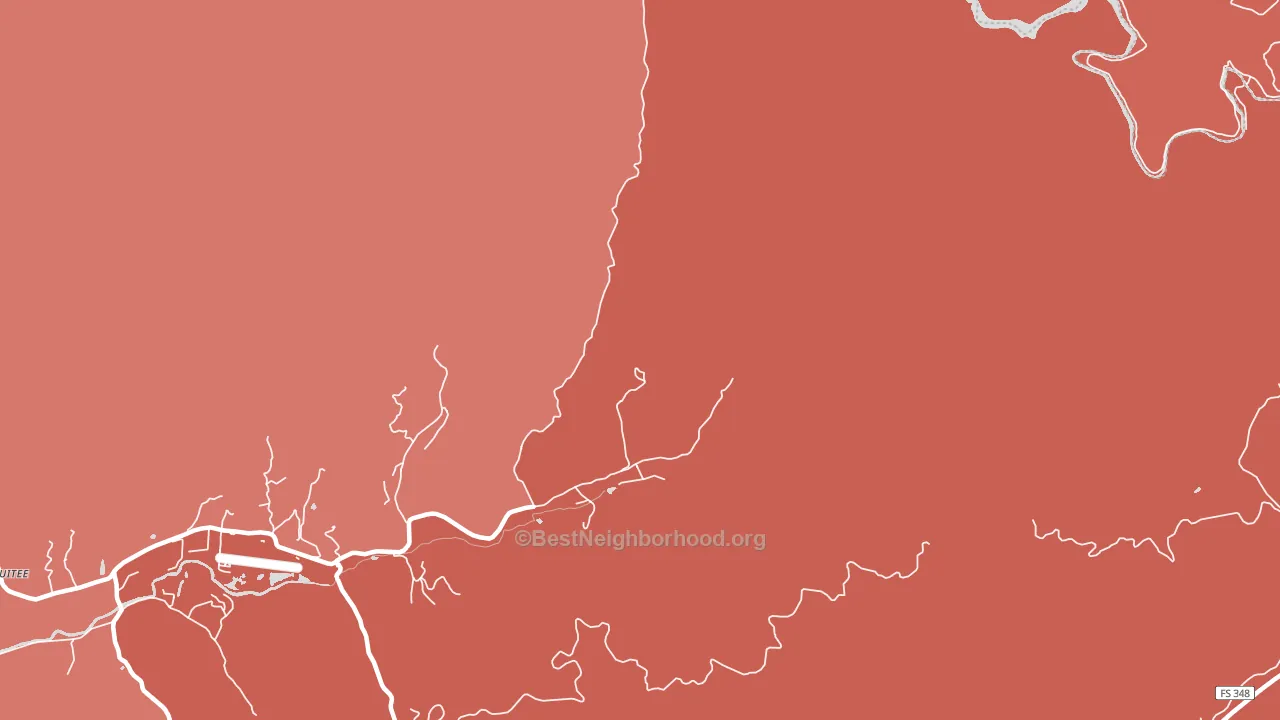 Tusquitee, NC block-group political-lean map