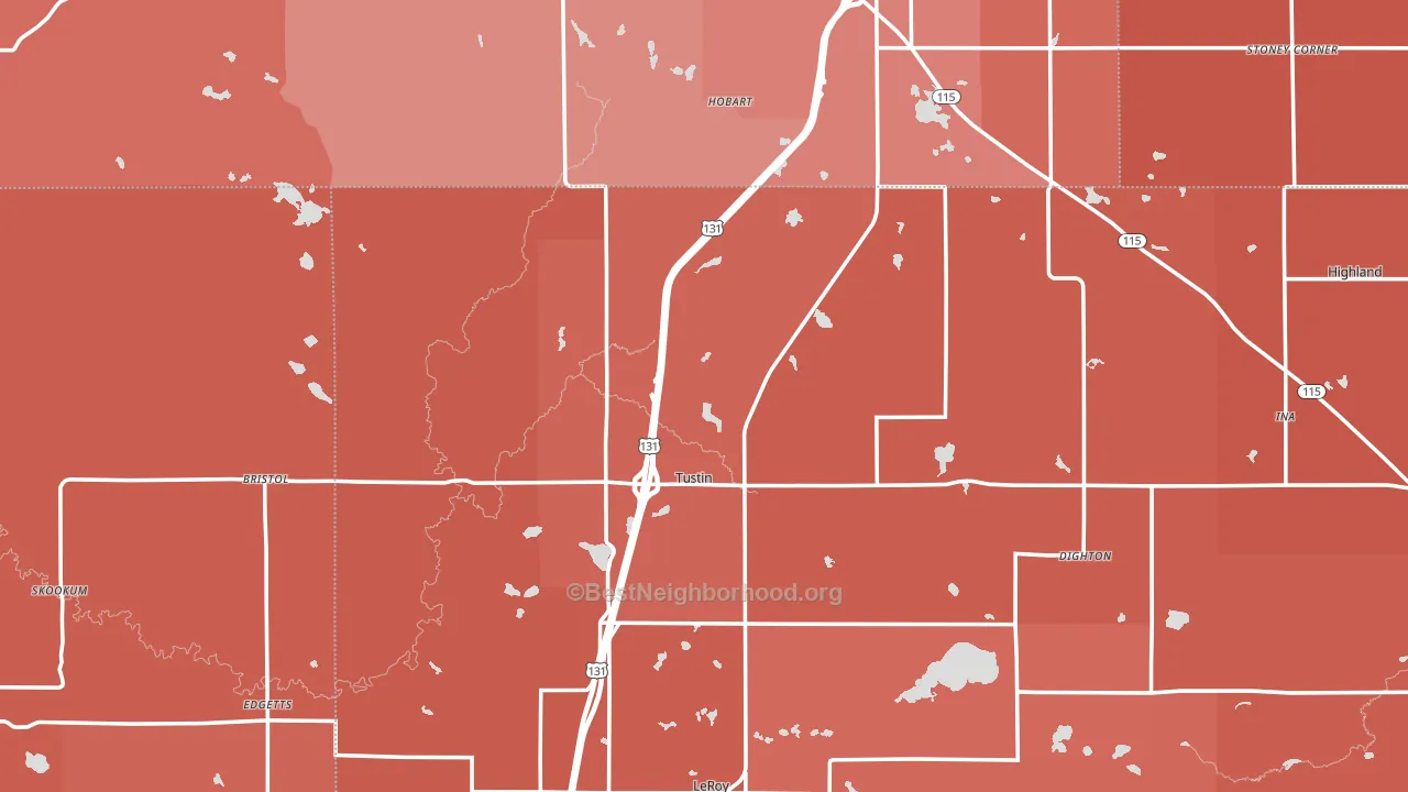 Tustin, MI block-group political-lean map