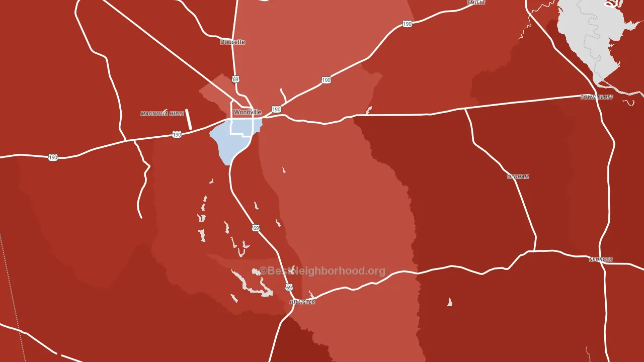 Tyler County, TX block-group political-lean map