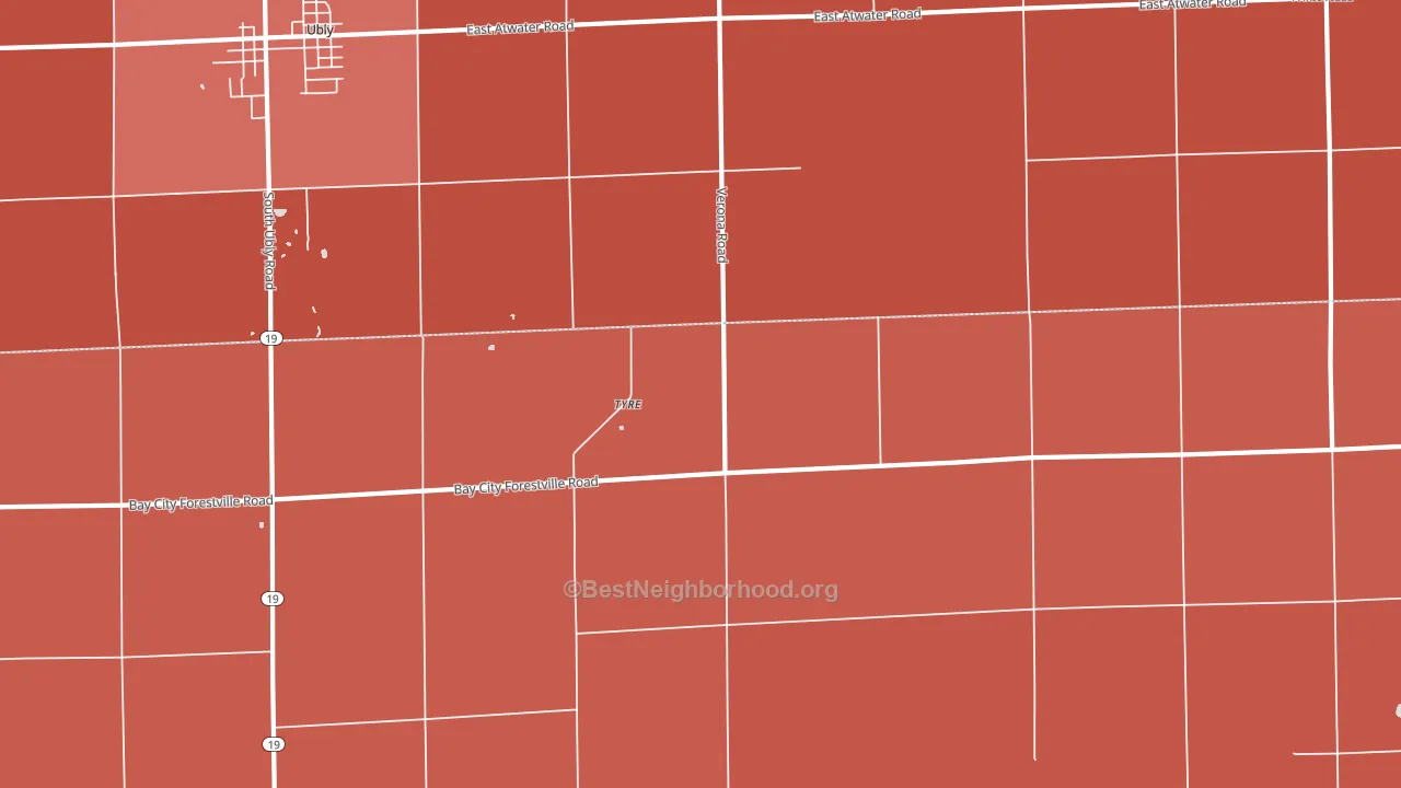 Tyre, MI block-group political-lean map