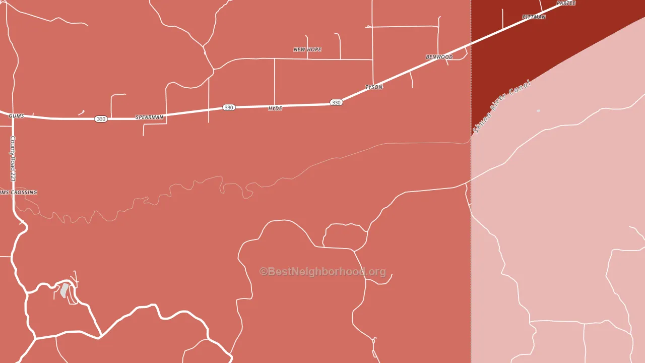 Tyson, MS block-group political-lean map