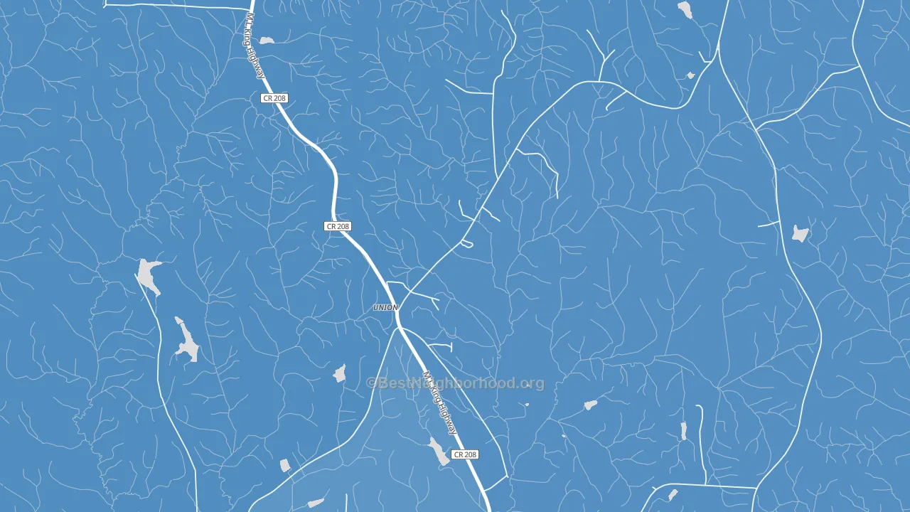 Union, AL block-group political-lean map