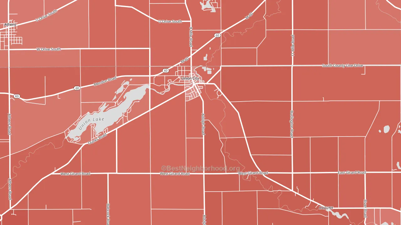 Union City, MI block-group political-lean map