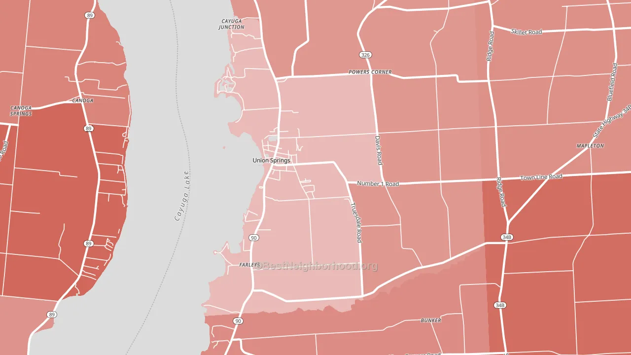 Union Springs, NY block-group political-lean map