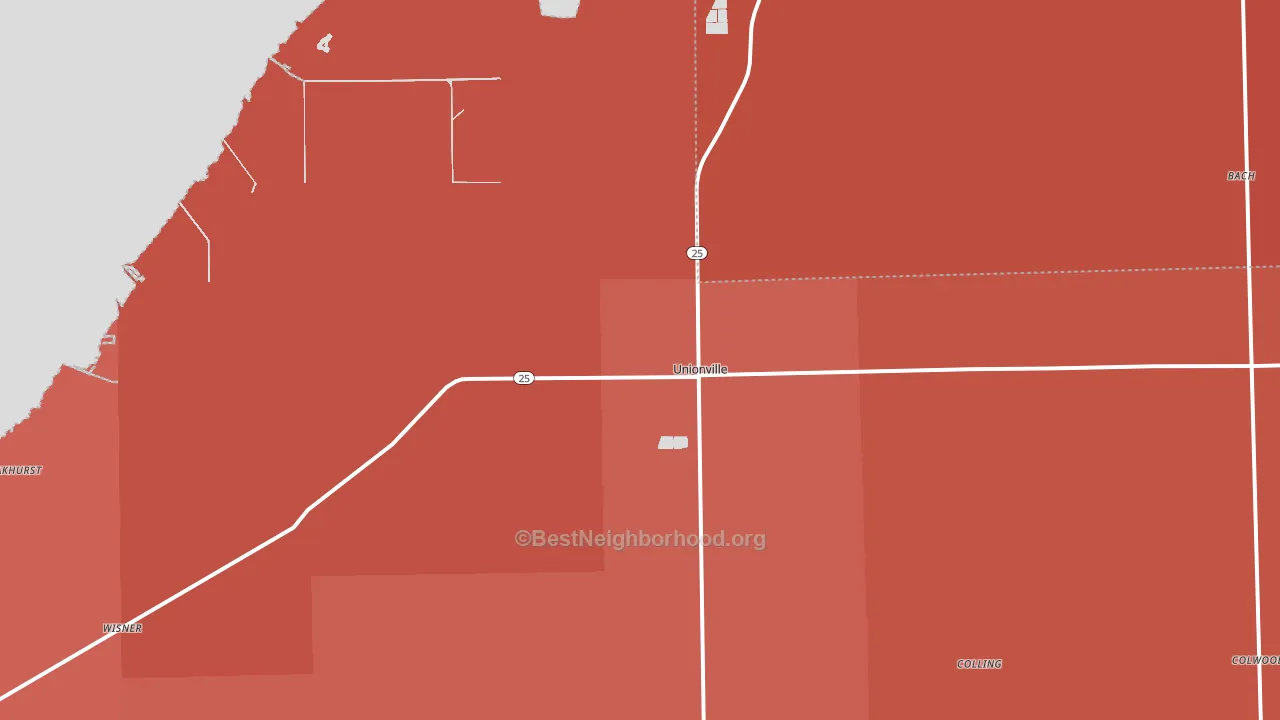 Unionville, MI block-group political-lean map