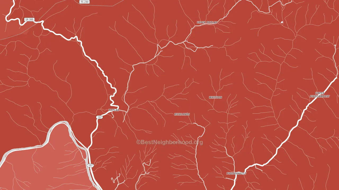 Upper Poplar, NC block-group political-lean map