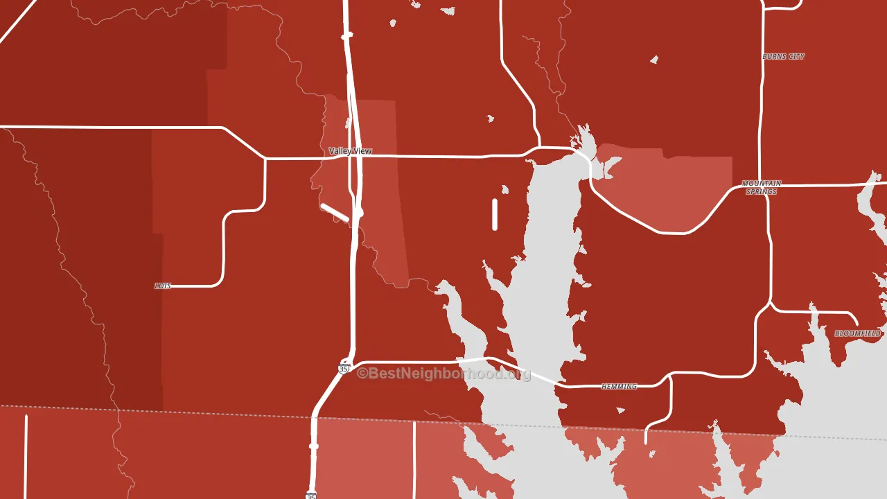 Valley View, TX block-group political-lean map