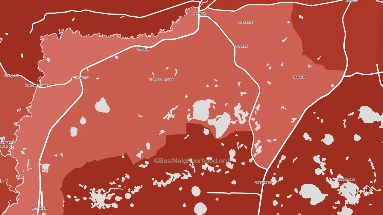 Vernon, FL block-group political-lean map