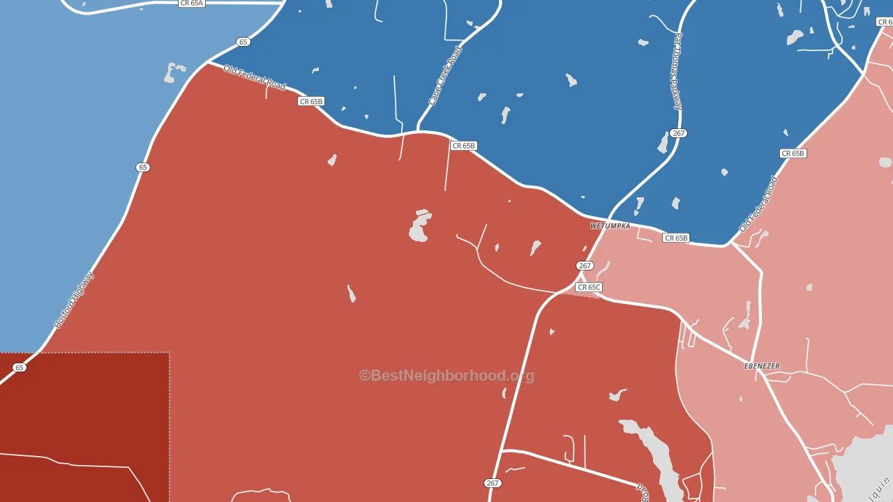 Vilas, FL block-group political-lean map