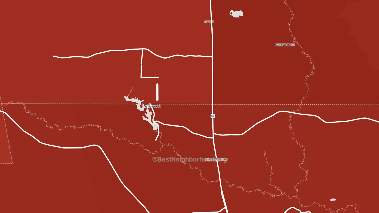 Village Mills, TX block-group political-lean map