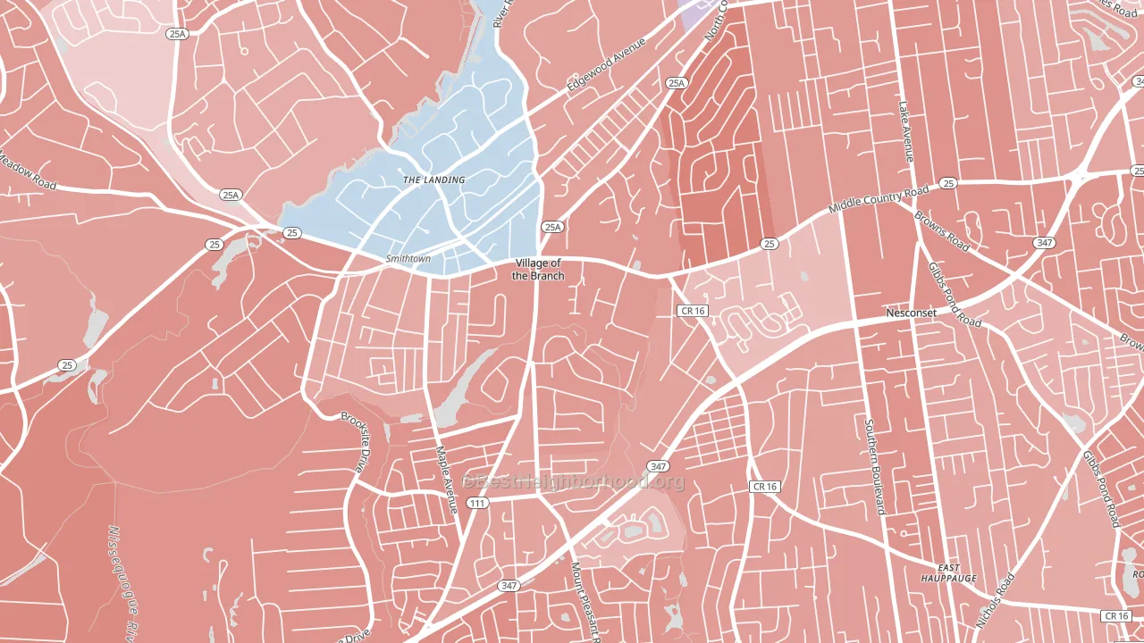 Village of the Branch, NY block-group political-lean map