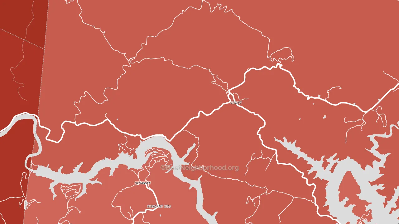 Violet, NC block-group political-lean map