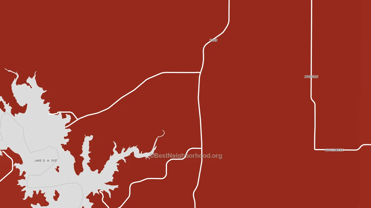 Voss, TX block-group political-lean map