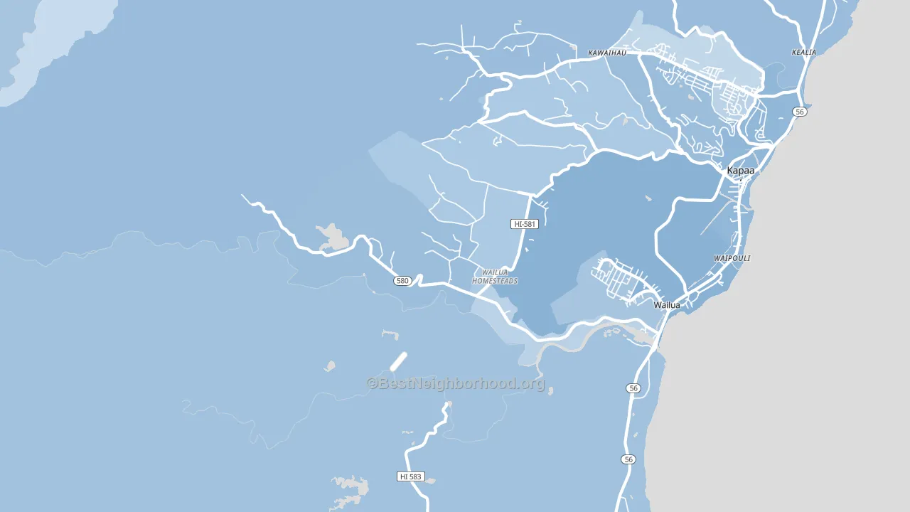 Wailua, Kapaa, HI block-group political-lean map