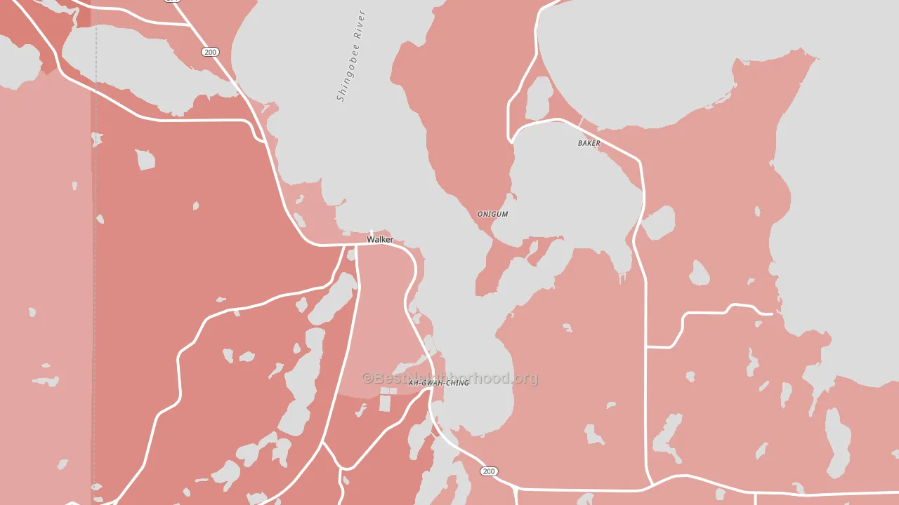 Walker, MN block-group political-lean map