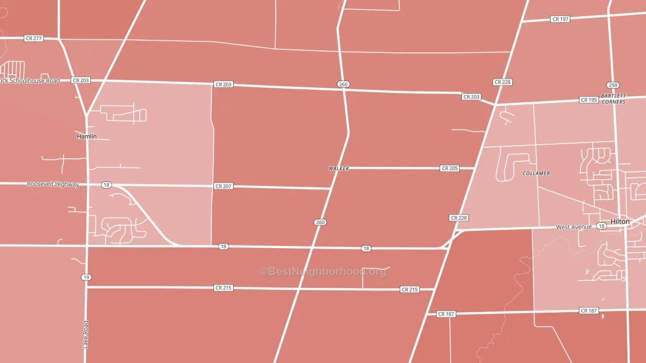 Walker, NY block-group political-lean map
