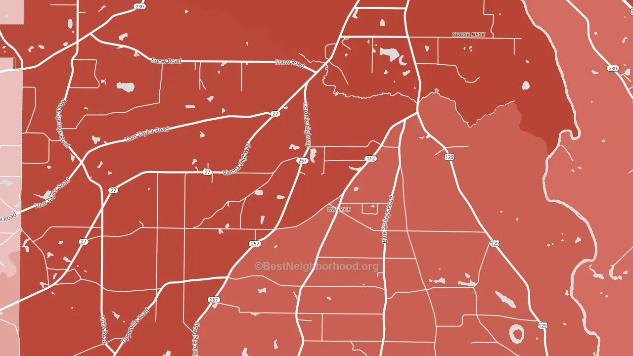 Wallace, GA block-group political-lean map