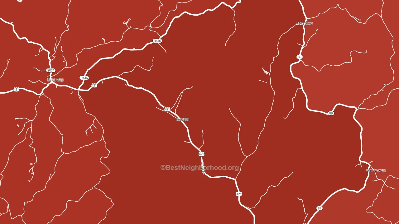 Waneta, KY block-group political-lean map