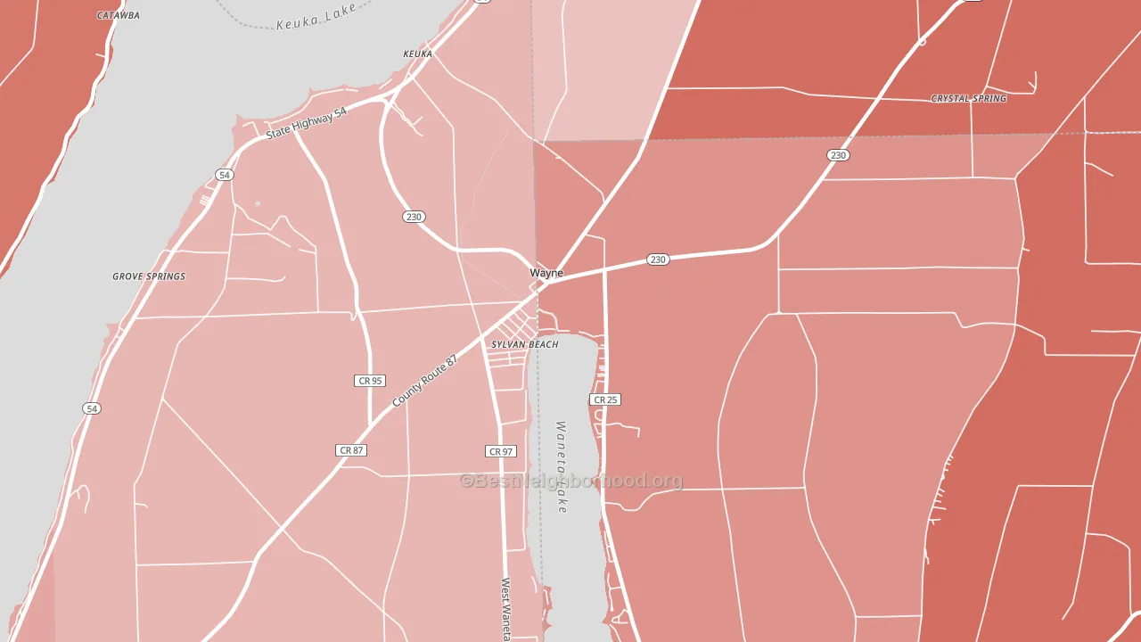 Wayne, NY block-group political-lean map