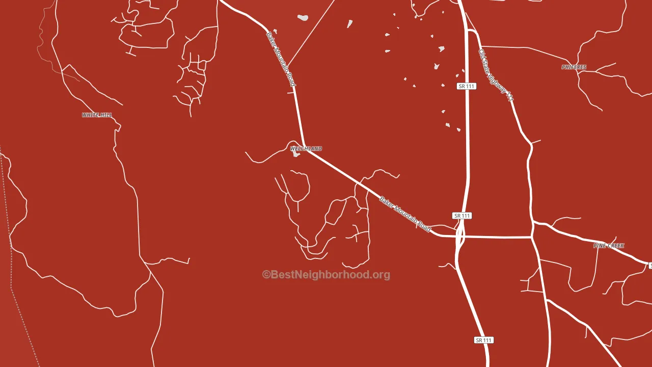 Welchland, TN block-group political-lean map