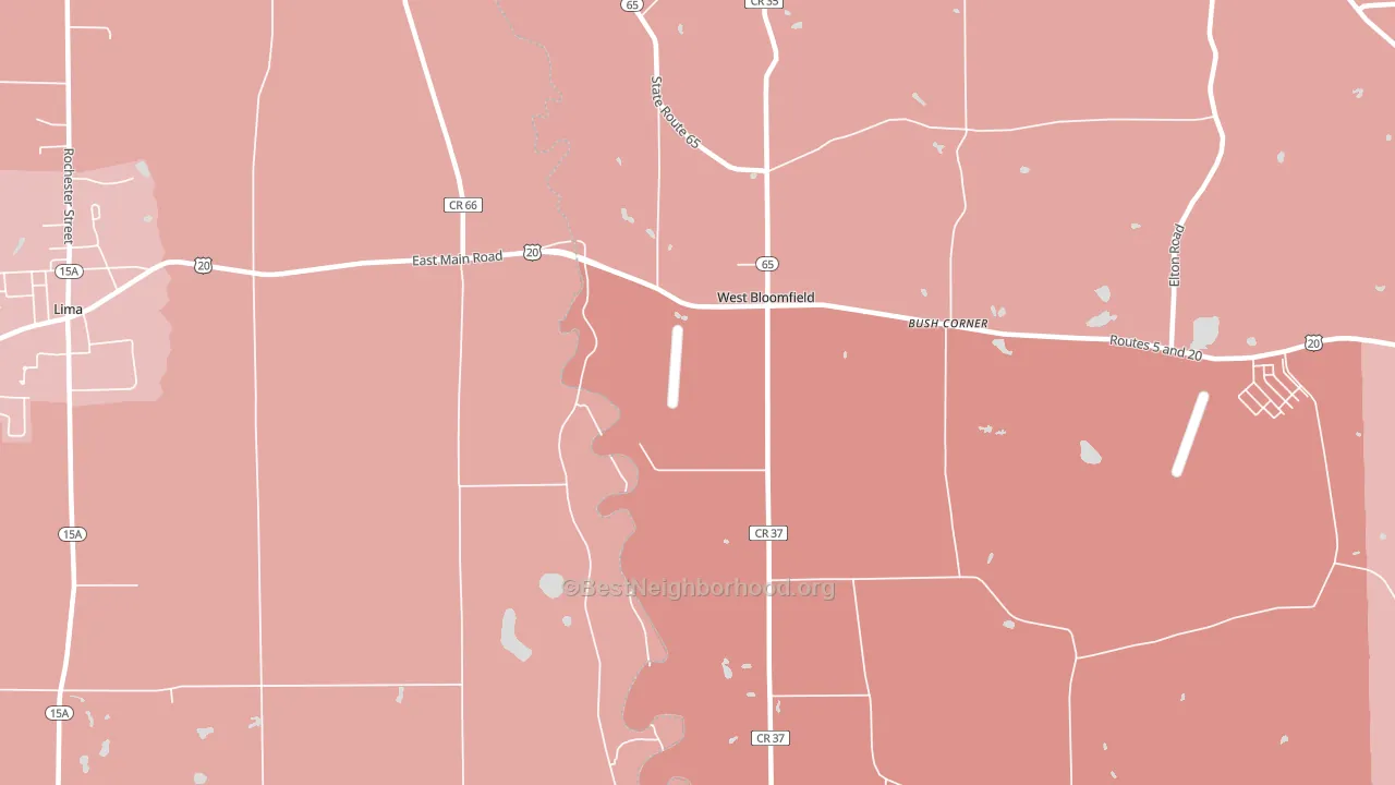 West Bloomfield, NY block-group political-lean map