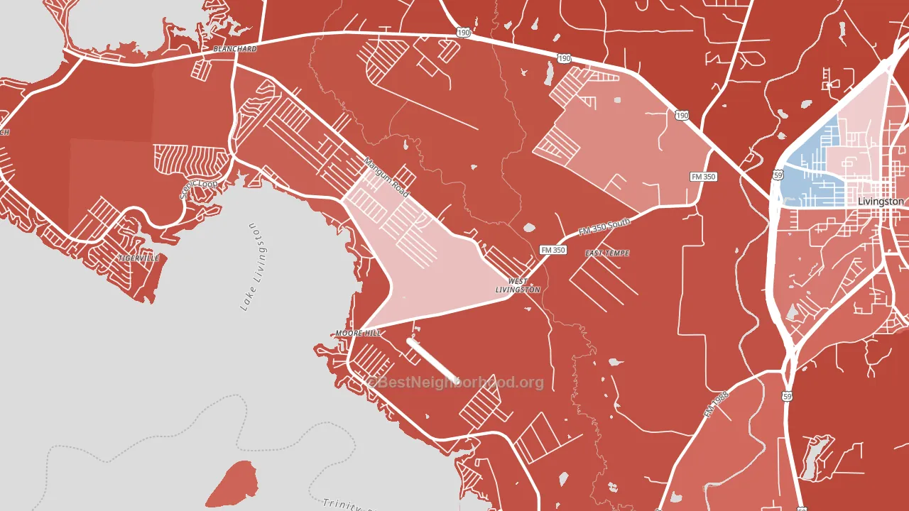 West Livingston, TX block-group political-lean map