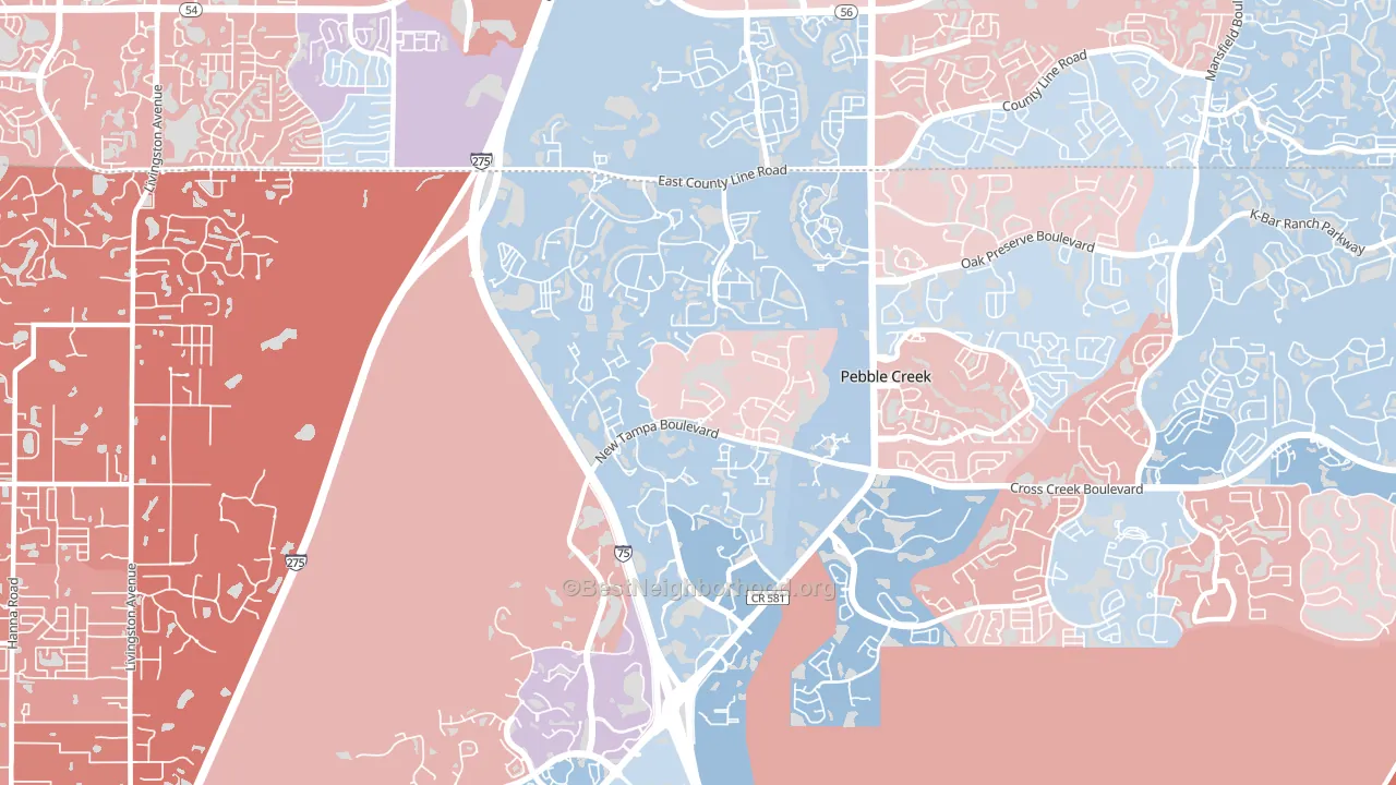 West Meadows, Tampa, FL block-group political-lean map