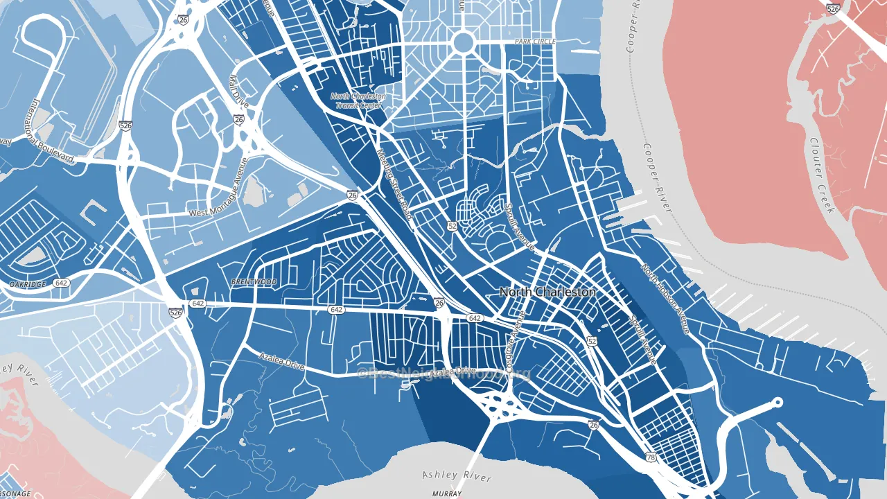 Whipper Barnoy, North Charleston, SC block-group political-lean map