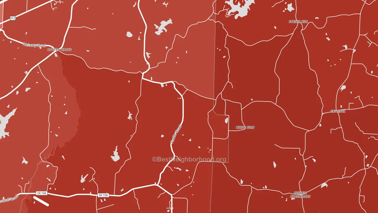 White Fern, TN block-group political-lean map
