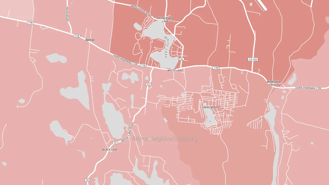 White Lake, NY block-group political-lean map