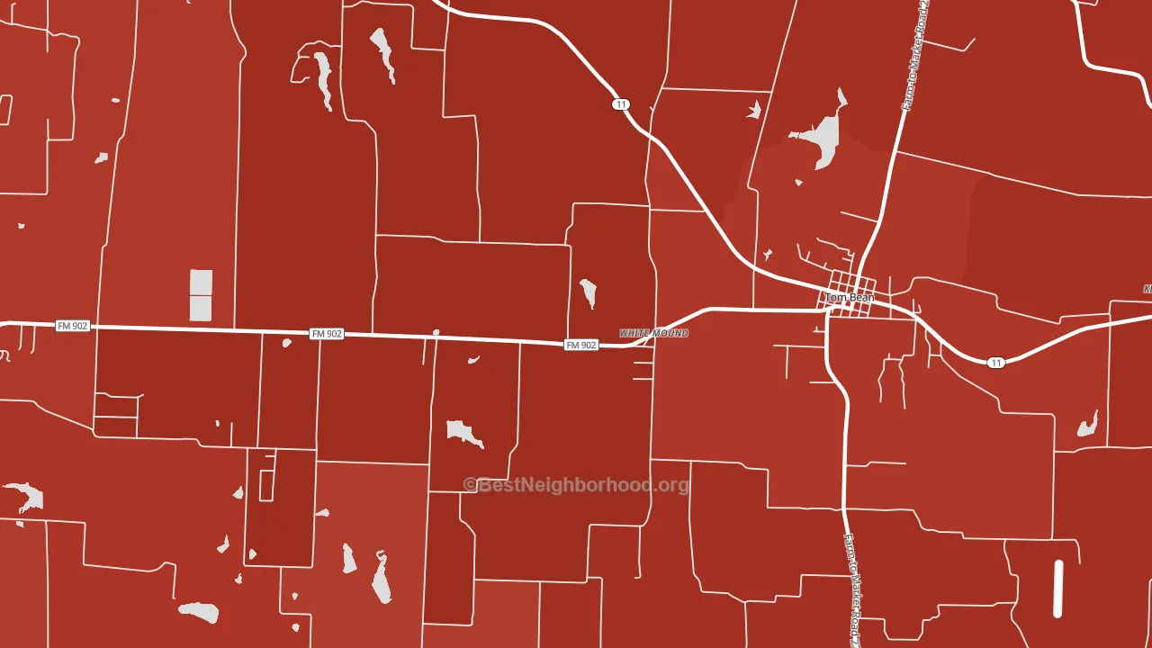 White Mound, TX block-group political-lean map