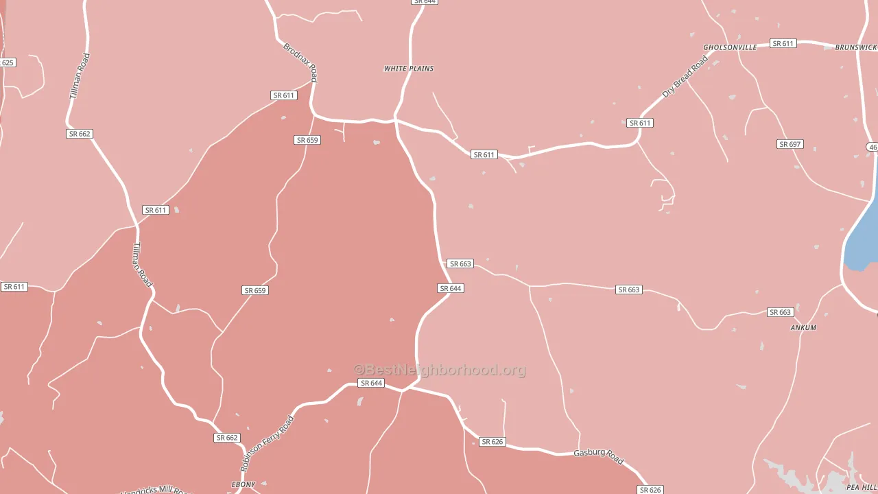 White Plains, VA block-group political-lean map