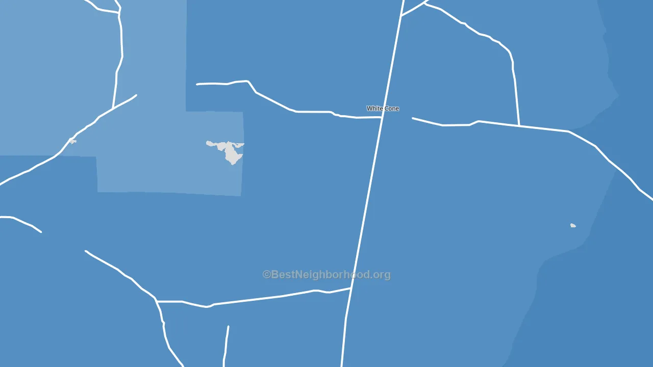Whitecone, AZ block-group political-lean map