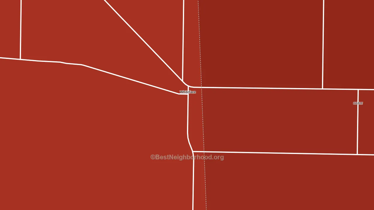 Whiteface, TX block-group political-lean map