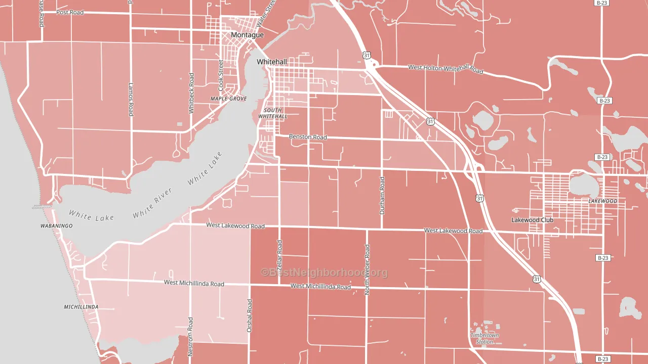 Whitehall, MI block-group political-lean map
