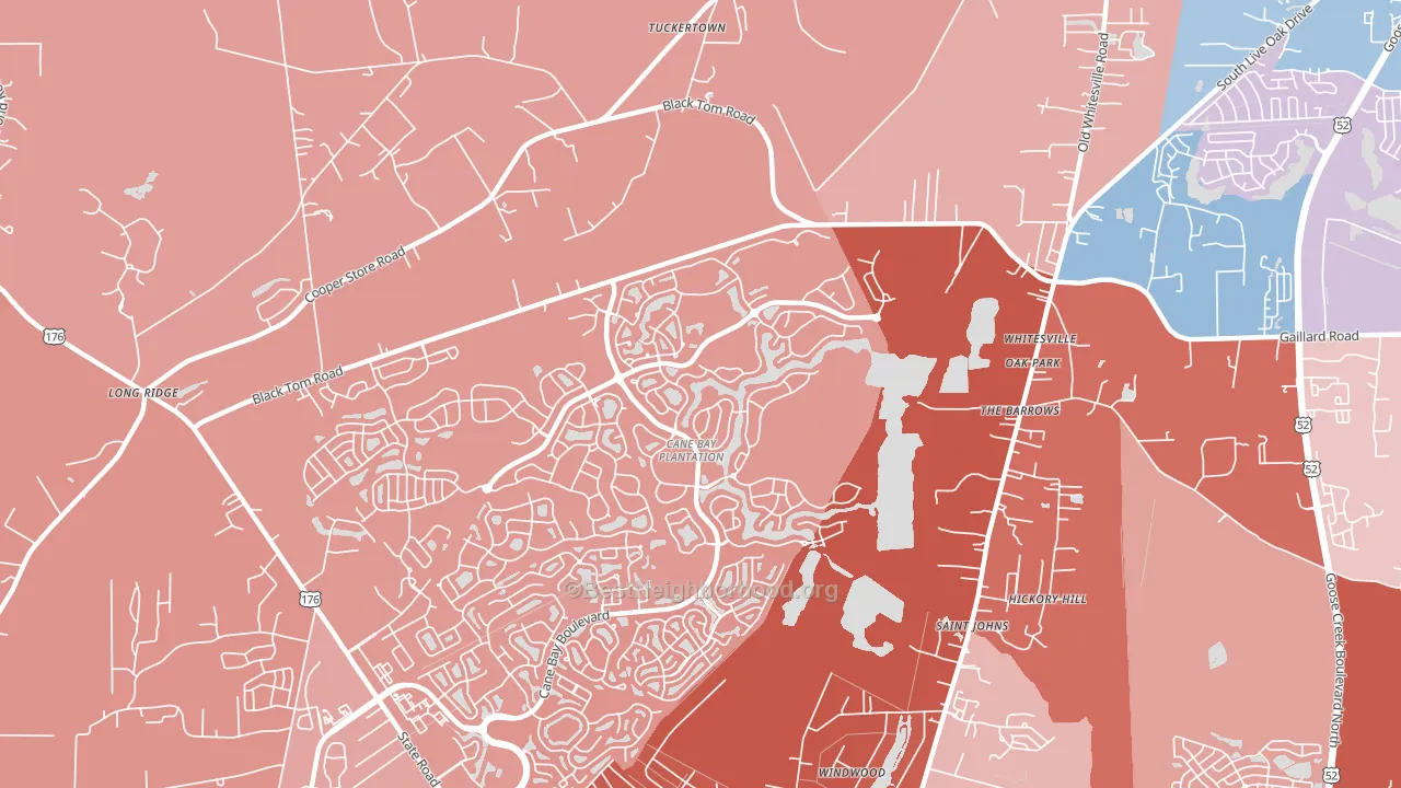 Whitesville, SC block-group political-lean map