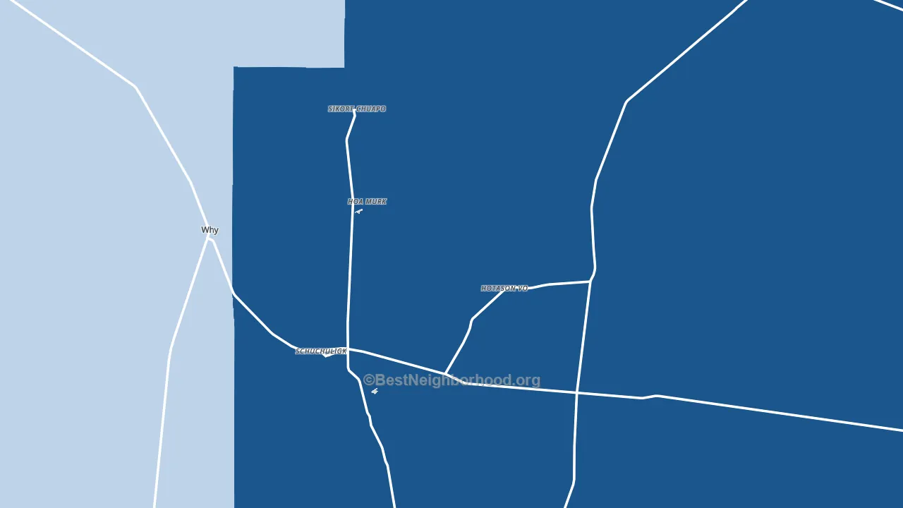 Why, AZ block-group political-lean map