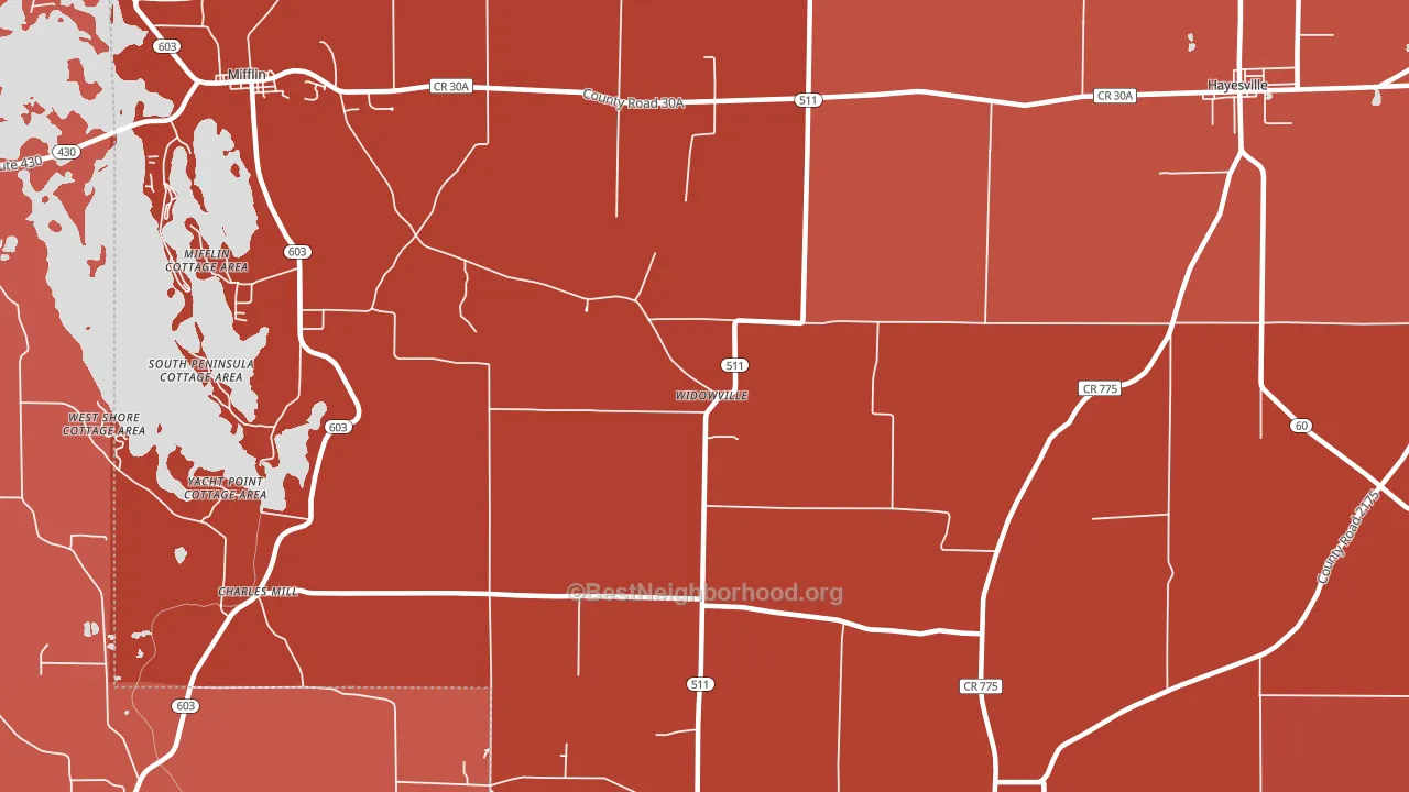 Widowville, OH block-group political-lean map
