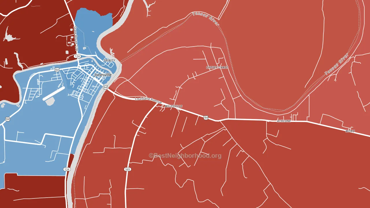Wildsville, LA block-group political-lean map