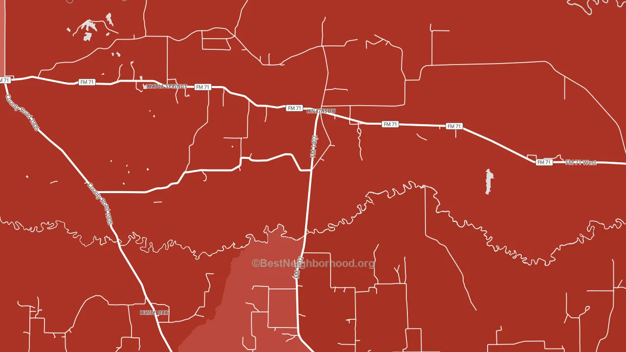 Wilkinson, TX block-group political-lean map